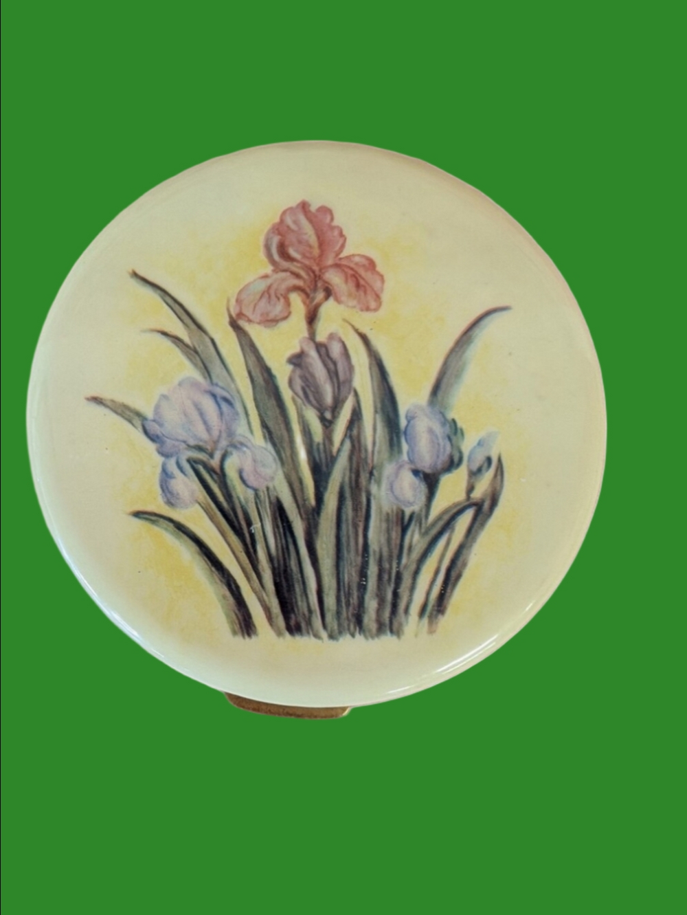 VINTAGE Compact With Mirror in Soft Yellow with Pastel Irises
